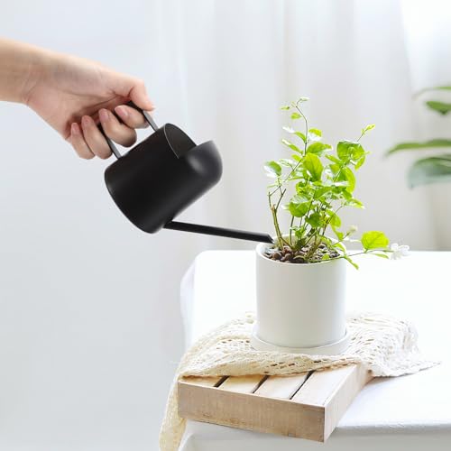 LINGSFIRE Small Metal Watering Can - 10oz/300ml, Long Spout, Modern Decorative, Indoor Houseplants...