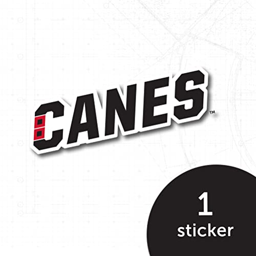 Calcomanía NHL Carolina Hurricanes para botella de agua y coche 5