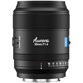 レンズ(ズーム) JUN TeleCular 20-60X ズーム レンズ – APEXEL