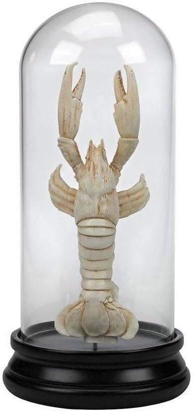 Elk Home Naturae Ancient Lobster Curio Decorative Accessory, Aged White