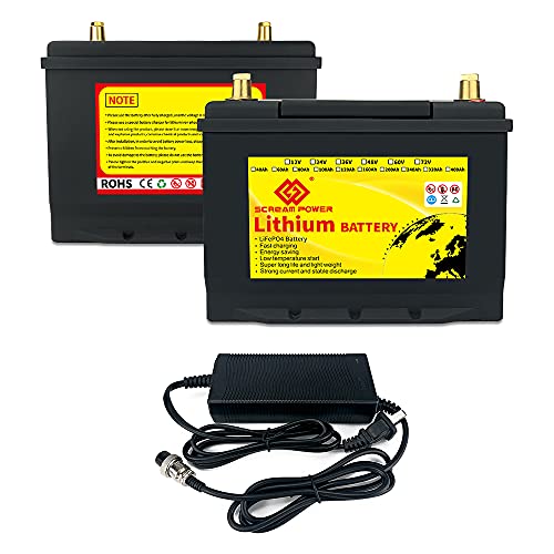 Amazon.co.jp: SCREAMPOWER lifepo4リン酸鉄リチウム電池 12V