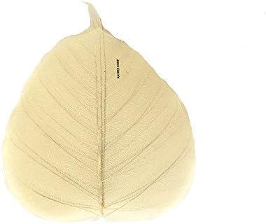 Sized 4 x 4.5 Inches,100 Pcs. Skeleton Natural Ficus Religiosa Leaves Artificial Leaves Craft Card Scrapbook DIY Handmade Embellishment Decoration Art, Mulberry Paper Leaves, by RATREE SHOP.