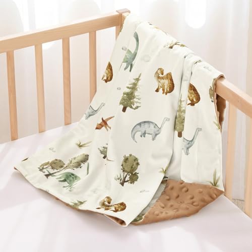 Image of PHF Minky Baby Blanket for Boys Girls, 30x40 Inches Soft Double Layer Baby Blankets with Cute Dinosaurs, Receiving Blanket Bed Throws for Newborn, Infant, Babies