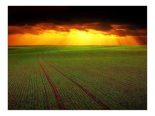 Image of Jigsaw Puzzles for Adults 500 Pieces -Field,clouds,horizon 52x38cm