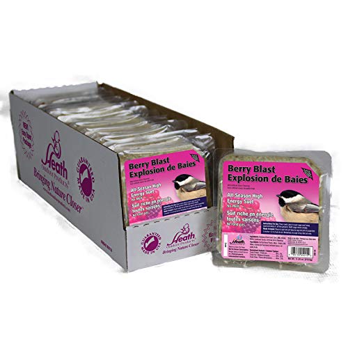 Heath Outdoor Products Dd-15 Berry Blast Suet Cake, Case Of 12, 0.75 Lb #TOP2
