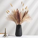 75Pcs Dried Pampas Grass Decor, 15Pc White Pampas Grass, 15Pc Brown Pampas, 30Pc Reed Grass, 15Pc Bunny Tails Dried Flowers, Fluffy Stem Bouquet for Flower Arrangements Boho Wedding Home Decor (17in)
