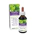 Produktbild Frauenmantel (Alchemilla vulgaris) Kraut Alkoholfreier Urtinktur Naturalma | Flüssig-Extrakt Tropfen 100 ml | Nahrungsergänzungsmittel | Veganer