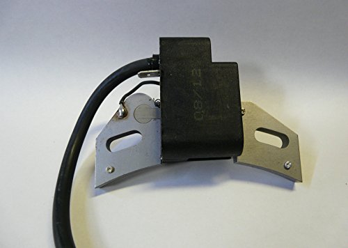 Bobina de encendido Loombardini - Intermotor IM 250-300-350 ACC. Electrónica Cover