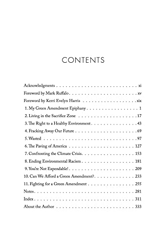 The Green Amendment: The People's Fight for a Clean, Safe, and Healthy Environment