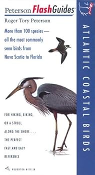 Atlantic Coastal Birds
