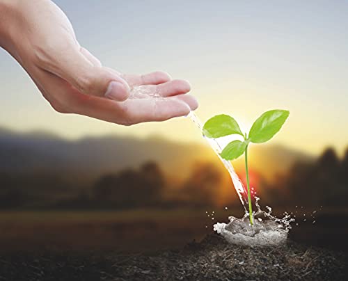 Mondo Verde Casa e Giardino S.r.l. Aqua Gel