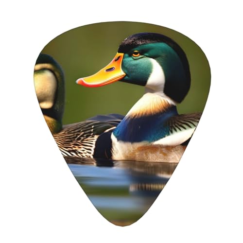 Ukulele Plectrums �M�^�[�v���[���[�T���v���[ 12�s�[�X �A�R�[�X�e�B�b�N�A�x�[�X�A�G���L�M�^�[�p - 2�C�̃}�K���̃v�����g