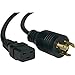 Tripp Lite Heavy-Duty Power Cord for Servers 20A, 12AWG (IEC-320-C19 to NEMA L5-20P) 10-ft.(P045-010)
