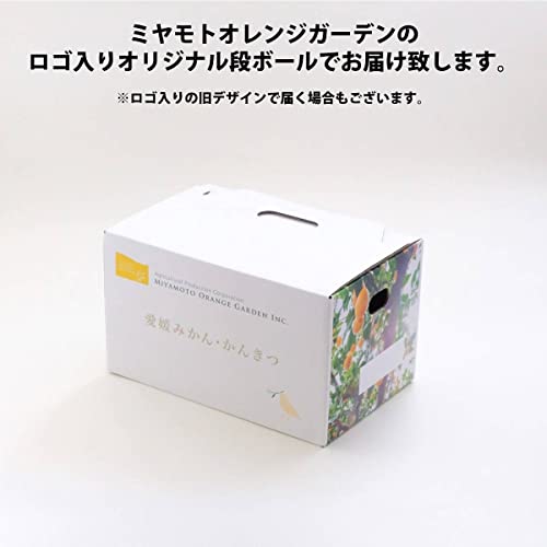 株式会社げんき本舗 みかん ドライフルーツ シトラスチップス 無添加 砂糖不使用 愛媛産 かんきつ 7種 50g×3袋 6枚目