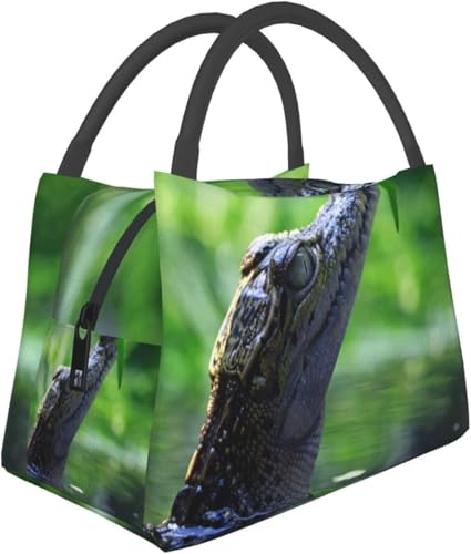  `obO j ۗۉobO \tgN[[  ٓ N[[{bNX  AEghA Lv ʋ΁Eʊwp y [֗