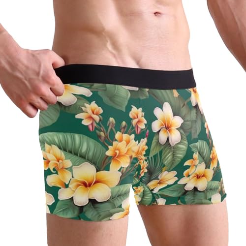Hawaiian Tropical Flower Men's Boxer Briefs S 202a29042