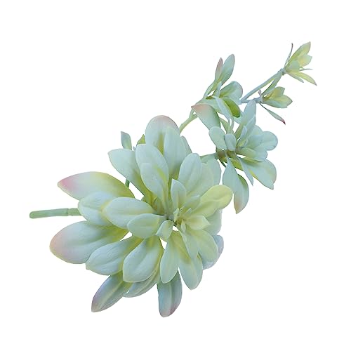 MUSISALY V[V[A?^A yʃ|[^u^ ϗtAtFCNvg CeA݂邵 ƗpI[ig