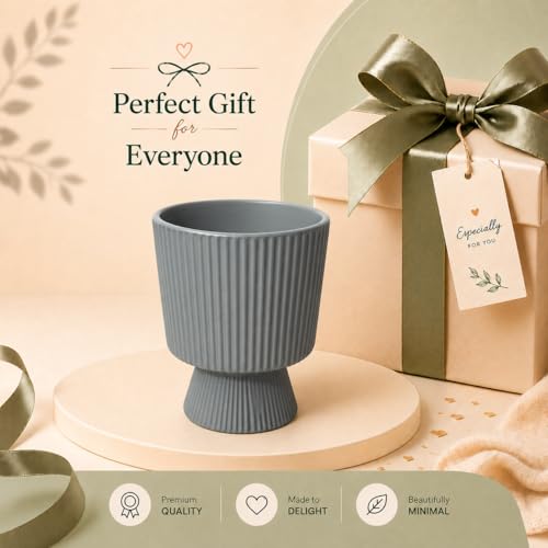 Image of Xtore Striking Pedestal Ceramic Planter Pot for Indoor Plants | Elevated Ribbed Flower Pot for Home, Office Desk & Balcony Decor (Matte Grey - Planter only)