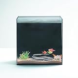 High-Clarity 3.5 Gallon Fish Tank 30 * 15 * 30CM - Low Iron Glass Aquarium with Space-Saving Thin & Narrow Designs | Includes Non-Slip Mat, Corner Guards + Decor | Ideal for Desktop/Bathroom