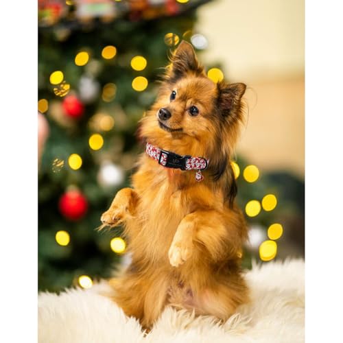 Image of Christmas Santa Pattern Dog Collar - Adjustable and Durable Xmas Pet Accessory for Festive - Cute Santa Claus Dog Collars for Girl Boy Dogs L