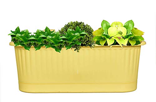 mastBus Plastic Hanging Pots for Balcony and Stairs Railing, Indoor/Outdoor Gardening Containers (Yellow, 15 inch)