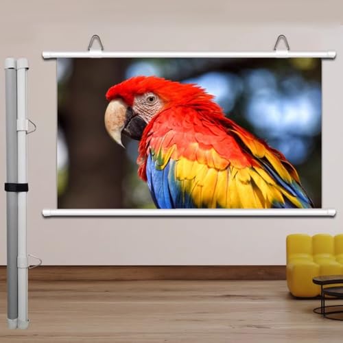 Pantalla Manual para Proyector 72 pulgadas 16:9 miniatura 1