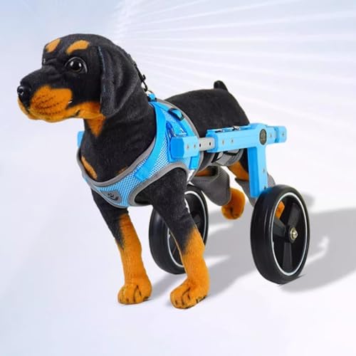 Fauteuil roulant pour chien pour lui redonner la joie de vivre malgré le handicap