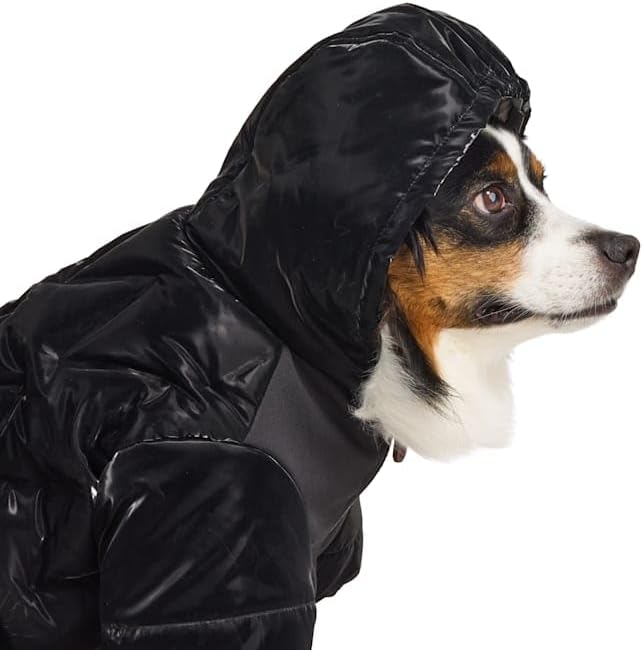 Reddy by Petco Quilted Hooded Puffer Jacket for Pets, XX-Large