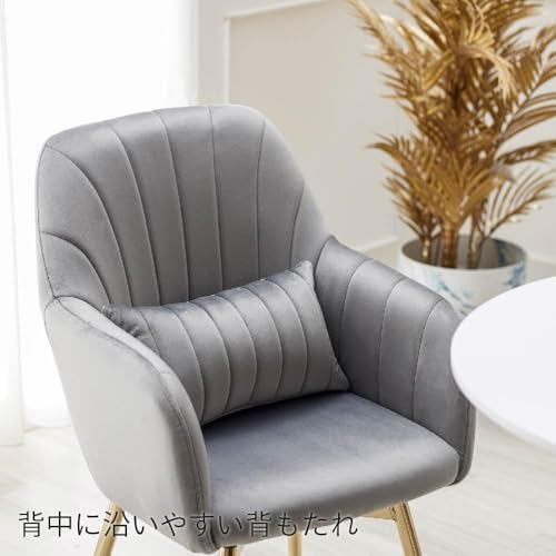 ASHEL ジェリス 回転 ダイニングチェア 【4脚セット】 ベロア 金脚 肘付き クッション付き チェア オフィスチェア 韓国 インテリア かわいい アシェル (4脚セット, グロスグレー) [3]