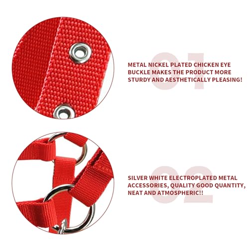 Licol pour cheval réglable et licou en corde léger avec sangle PP 25 mm