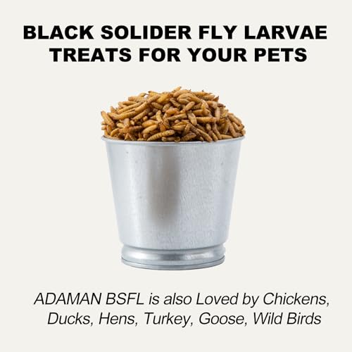 Adaman Dried Black Soldier Fly Larvae 20 LBS-100% Natural Non-GMO BSF Larvae-More Calcium Than Dried Mealworms High-Protein Chickens Treats, Food for Birds, Ducks, Repitle, Hedgehog, Bearded Dragon - Thumbnail 7