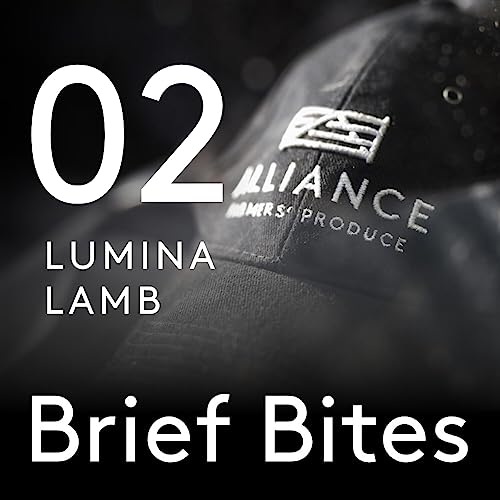 Lumina Lamb with international chefs