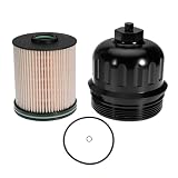 NuFlySic 134001 Billet Fuel Filter Housing Cap and TP1015 Fuel Filter for Chevrolet Silverado for