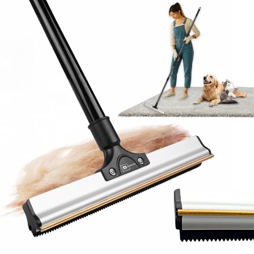 2026 Dual-Edge Carpet Rake