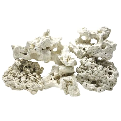 AquaOne Sansibar Rock Aquariengestein Gr.M 0,5-1,0 kg Naturstein für Aquascaping, Malawi Tanganjika & Gesellschaftsbecken Lochgestein Aquarium Deko Stein