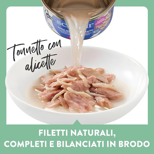Schesir, Thunfisch mit Alicette in Brühe, komplettes Nassfutter für Katzen, in Dose, mit zusätzlichen Vitaminen, 100% natürlich, 6 x 85 g