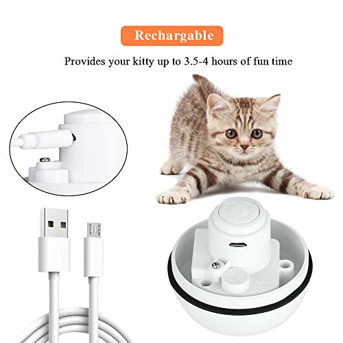 https://m.media-amazon.com/images/I/41W5Jk2vx0L._SL500_.jpg