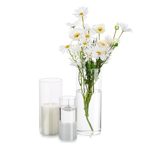 Glasseam Cylinder Glass Flower Vase Clear