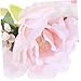 Toyvian Flower Design Pet Collar and Headband Decorative Wreath for Festivals Lightweight and for Cats and Kittens Floral