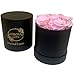 PRESERVED ROSES | GIFT Flowers | 100% REAL ROSES That Lasts for Years | Gift for her | Flowers for ALL OCCASIONS ready to GIFT, Birthday Gift, Valentine's Day Gift (6 PINK Roses (black box))