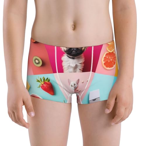 Boys' Cotton Boxer Brief Soft Underwear-Colorful Dog Cat Collage