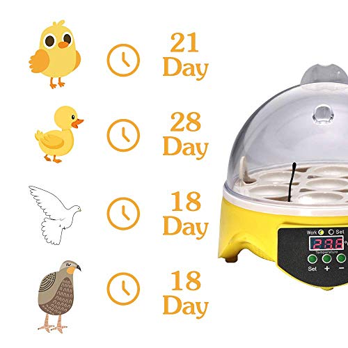 WXHN 7 Eier Digital Inkubator, Mini Automatische Hühnerente Gans Vögel Brutmaschine, Sichtbar entworfene automatische… – Bild 4