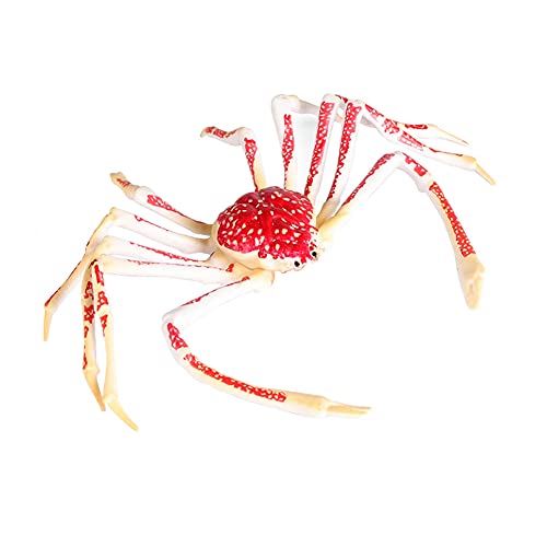 JOKFEICE Figuras de animales realistas de plástico grande araña cangrejo animal acción proyecto de ciencia aprendizaje juguetes educativos regalo de cumpleaños decoración de pastel para niños pequeños