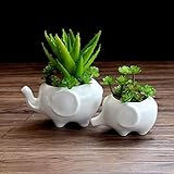 porzellan tiere rosenthal Sie können es selbst verwenden oder einem Freund ein Geschenk machen, was eine gute Wahl ist.