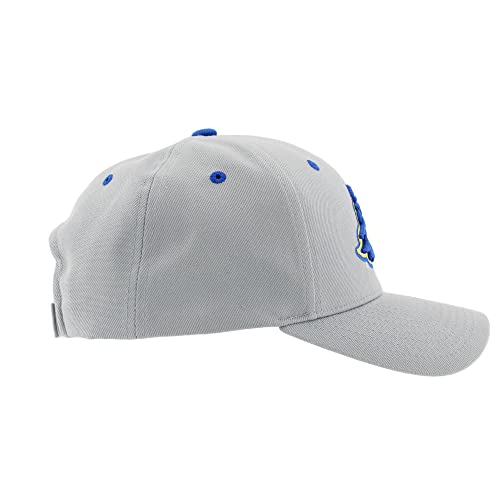 ZHATS NCAA Unisex-Adult Gorra Snapback Oficial miniatura 7