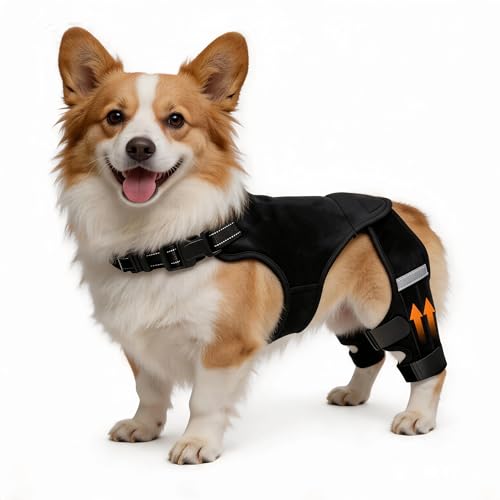 ALYBIT Dog Knee Braces for Torn ACL Hind Leg, Adjustable Dog Leg Braces for Back Leg with 4 Stabilizers for Luxating Patella Relieves Ligament Injury and Joint Pains