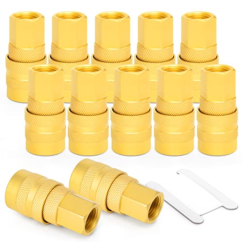 GASHER 12PCS 1/4-Inch Brass Female Industrial Coupler,1/4 Inch NPT Female Threads Size, Quick Connect Air Coupler