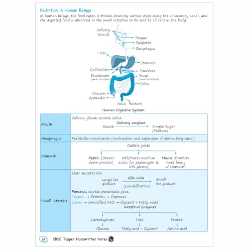 Image of PW CBSE Chapterwise Class 10 Topper Handwritten Notes For 2026 Exams | Covering Science, Mathematics, Social Science and English [Paperback] PW