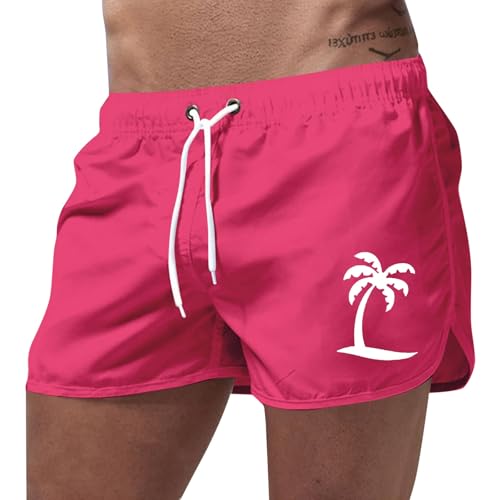 Bañador de verano para hombre, ropa deportiva, playa, ocio, viajes, poliéster, coco, estampado, secado rápido, ligero, ajuste elástico para vacaciones en la playa, al aire libre, uso diario, viajes