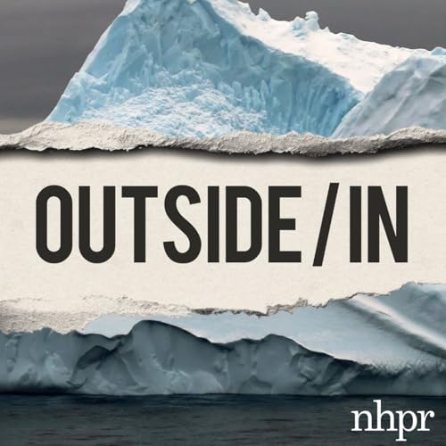 On the edge of the ice cover art